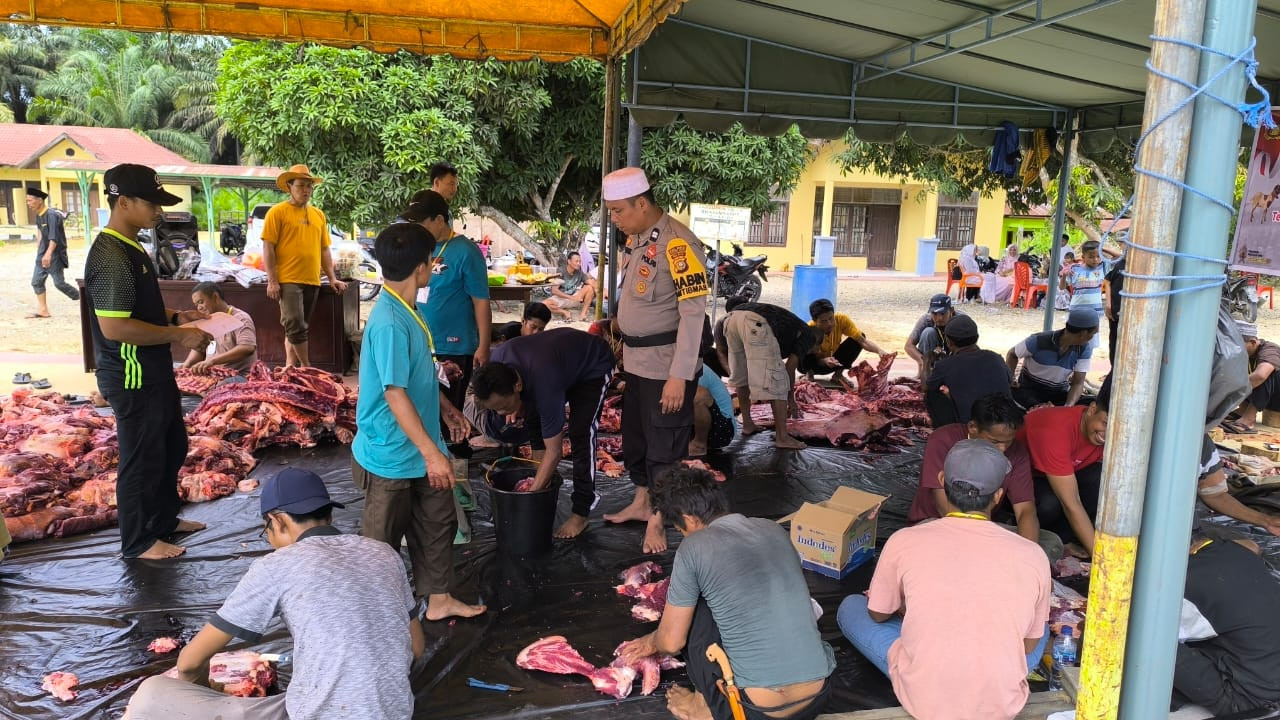 Momen Iduladha 1445 H, Polsek Pujud Sumbang 2 Sapi Kurban