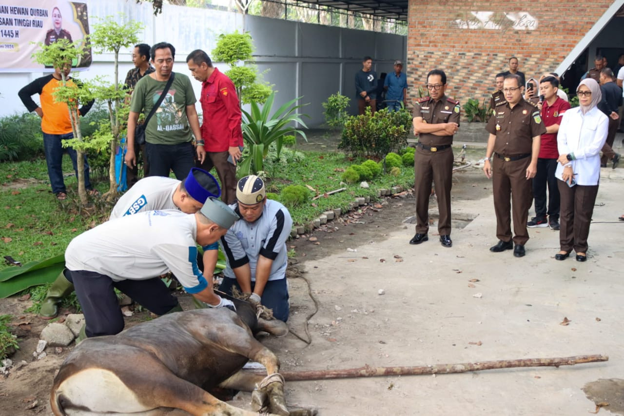 Momen Iduladha 1445 H, Kejati Riau Sembelih 8 Ekor Sapi