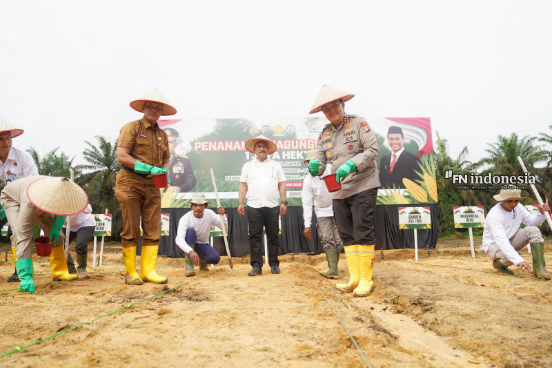 Irjen M Iqbal Bersama Forkopimda Tanam Jagung Serentak 1 Juta Hektare di Kabupaten Kampar