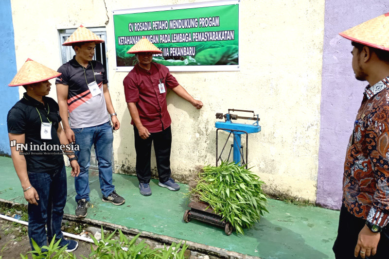 Program Asta Cita, Lapas Pekanbaru Panen Raya 136 kg Sayur Kangkung