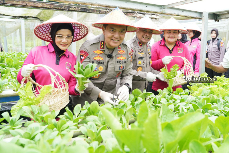 Program Perkarangan Pangan Lestari, Kapolda Riau dan Bhayangkari Dukung Ketahanan Pangan