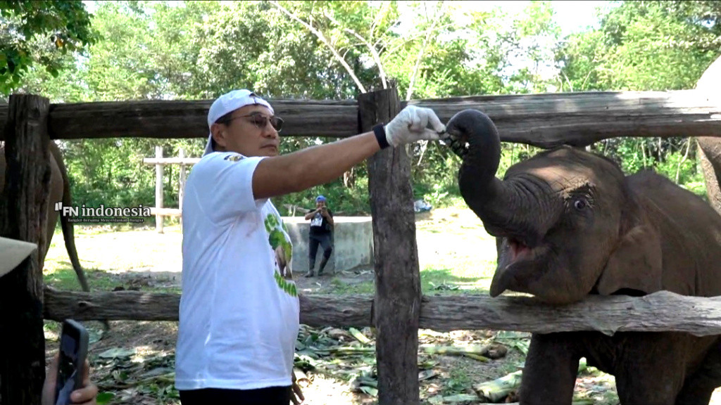 Gajah Domang dan Tari Diusulkan Jadi Warga Kehormatan Riau, Gagasan Rocky Gerung Disambut Hangat Kapolda Riau