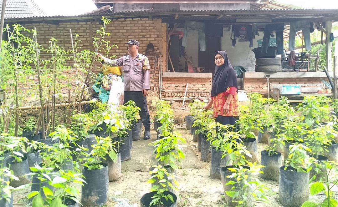 Bhabinkamtibmas Kerinci Kanan Dorong Ketahanan Pangan di Buana Bhakti