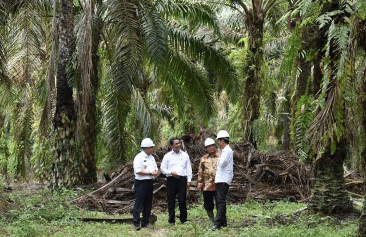 Petani Sawit 3 Kecamatan di Siak Desak Realisasi Pengurangan Lahan PT DSI